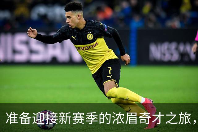准备迎接新赛季的浓眉奇才之旅，交易背后的搞笑游戏